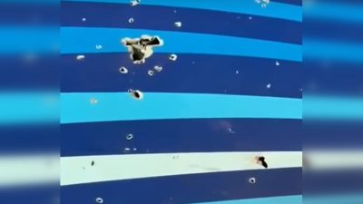 СМИ Азербайджана: Упавший в Казахстане самолёт был атакован ракетой РФ