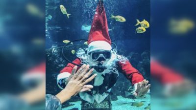 Санта уважил подводный мир и станцевал с огромной черепахой (видео)