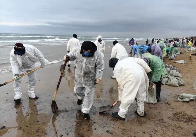 Роспотребнадзор: Пробы воды в Чёрном море на Кубани не соответствует нормативам Мэрия Анапы/t.me