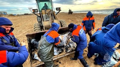 Губернатор Кубани: 900 тонн мазута приближаются к черноморским курортам (видео)