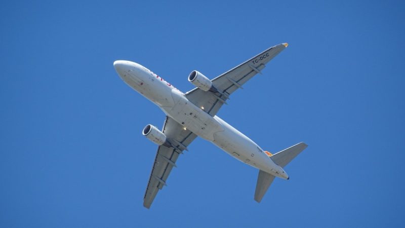 pxhere.com/СС0 | Epoch Times Россия