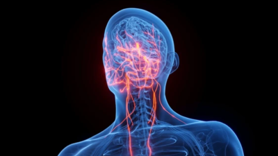 Как стимулировать функцию блуждающего нерва для борьбы с депрессией