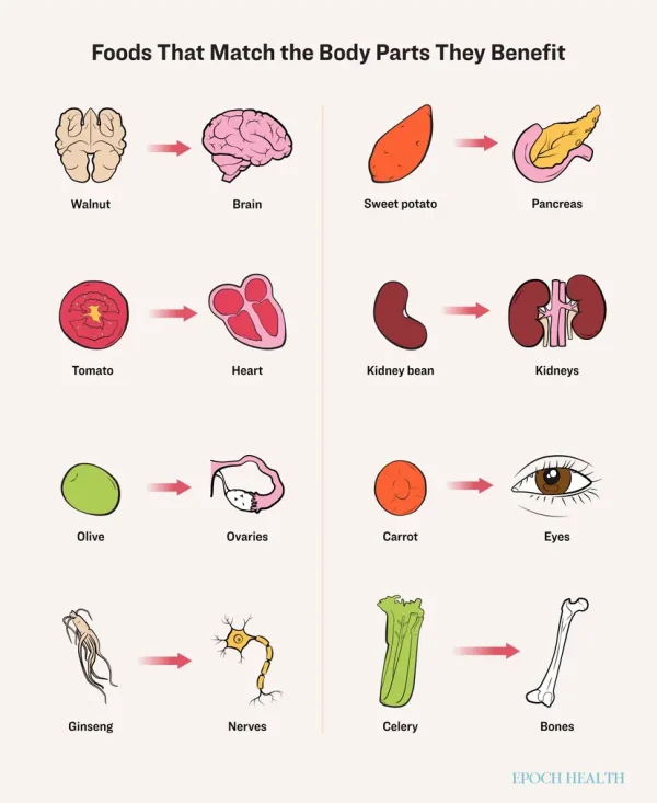 Продукты, похожие на органы тела, приносят им пользу