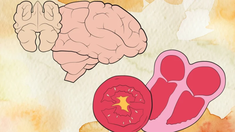 (Illustration by The Epoch Times, Shutterstock)
 | Epoch Times Россия