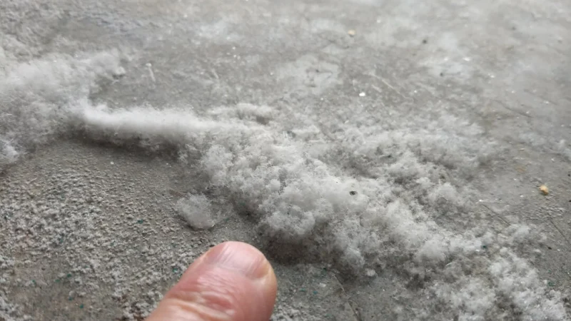 Увидев такой хлопьевидный осадок в гараже или подвале, вы можете подумать, что это опасная плесень. Почти во всех случаях это просто безвредные кристаллы соли. (Tim Carter/Tribune Content Agency/TNS) | Epoch Times Россия