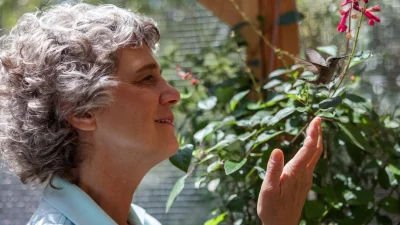 «Каждая мелочь»: фильм о женщине, которая 20 лет спасает колибри