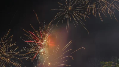 Что может принести 2025 лунный год Деревянной змеи