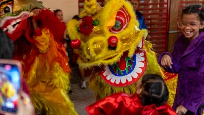 Миллионы людей по всему миру празднуют китайский Новый год