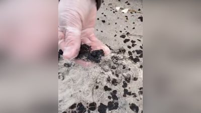 На побережье Одесской области появились пятна мазута