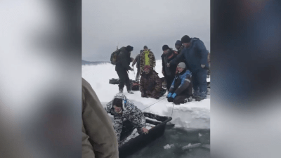 Очередную партию из 200 рыбаков спасают с дрейфующей льдины в Охотском море (видео)