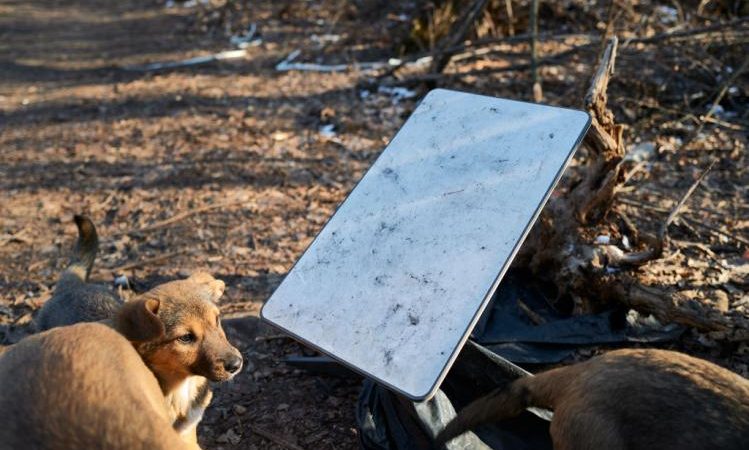 Устройство Starlink, которое подключает бригаду к Интернету, февраль 2025 года в Покровске, Украина. (Pierre Crom/Getty Images) | Epoch Times Россия
