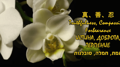 Врач объяснил причину чудесных выздоровлений неизлечимо больных (видео)