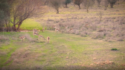 Непридуманная история автора канала «Непридуманные истории» (видео)