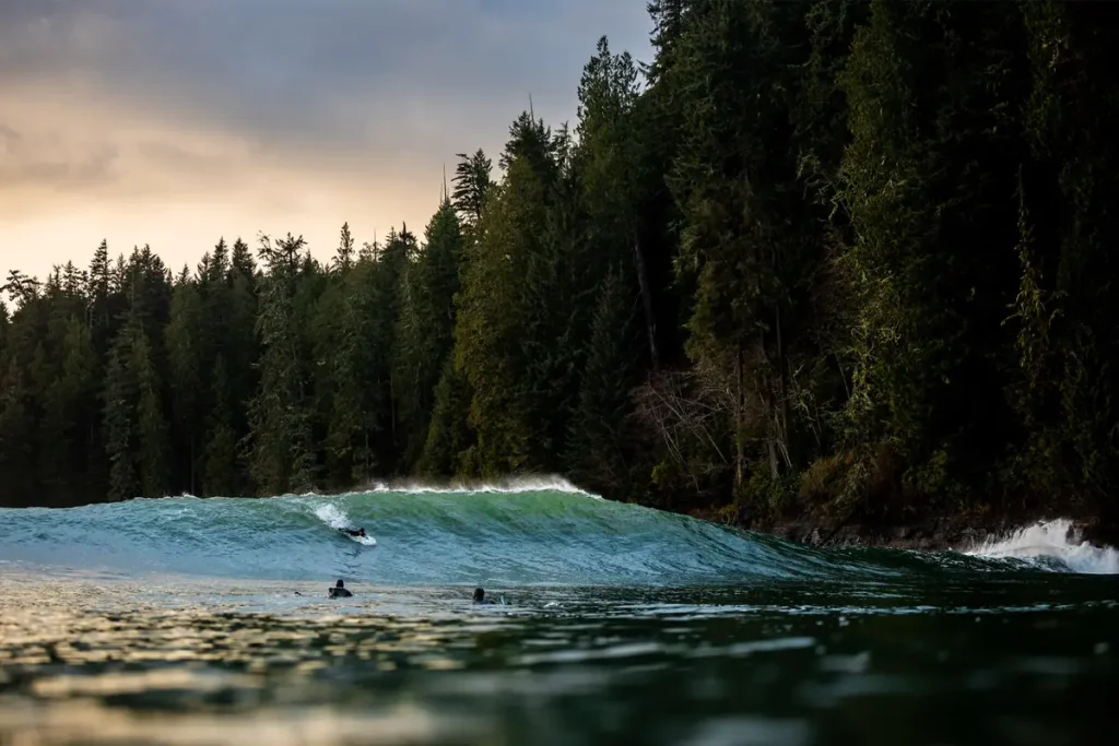 Сёрфер из Британской Колумбии оседлал огромную волну, которая появляется раз в 5 лет