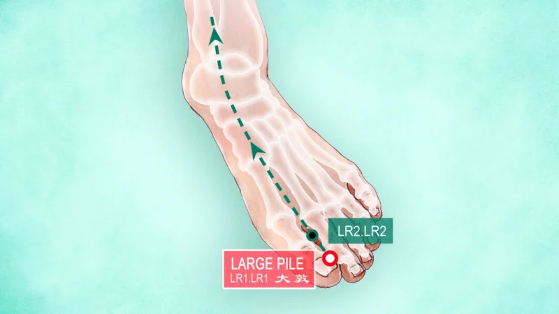 (The Epoch Times) | Epoch Times Россия