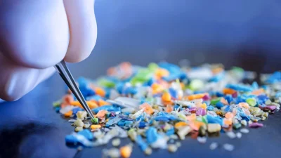 Микропластик, обнаруженный в мозге, весит столько же, сколько пластиковая ложка: исследование