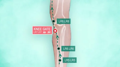 Акупунктура Хуань Тяо помогает тазобедренным суставам оставаться сильными