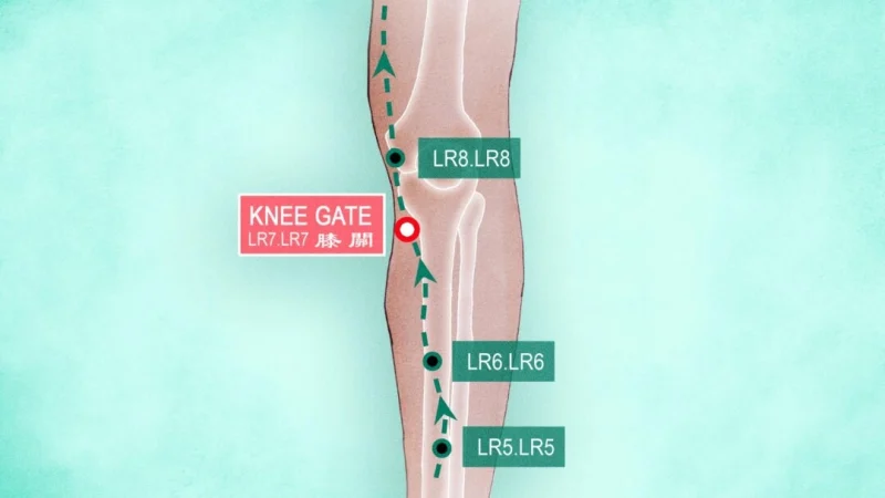 Акупунктура Си Гуань LR7. (The Epoch Times) | Epoch Times Россия