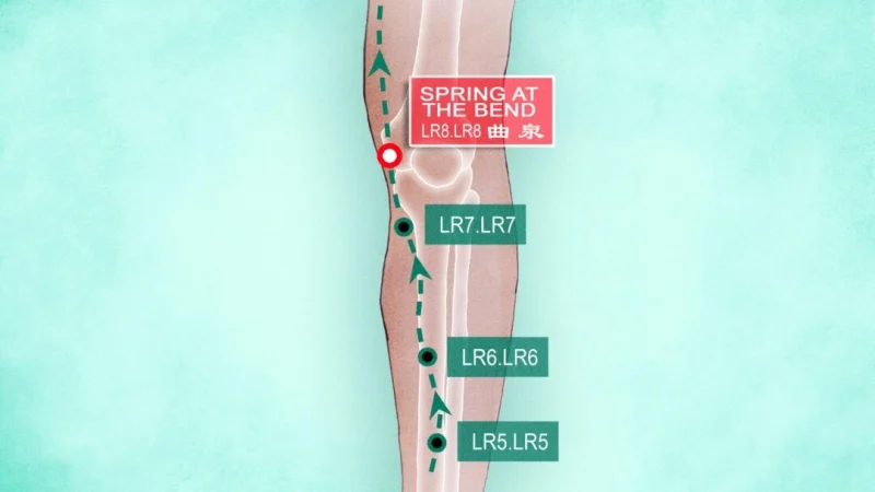 Акупунктура Цюй Цюань  LR8 (The Epoch Times) | Epoch Times Россия
