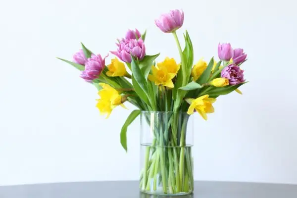 Многофункциональный уксус — лучший друг домашних хозяек