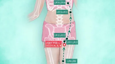 Акупунктура Хуань Тяо помогает тазобедренным суставам оставаться сильными