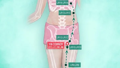 Акупунктура Хуань Тяо помогает тазобедренным суставам оставаться сильными