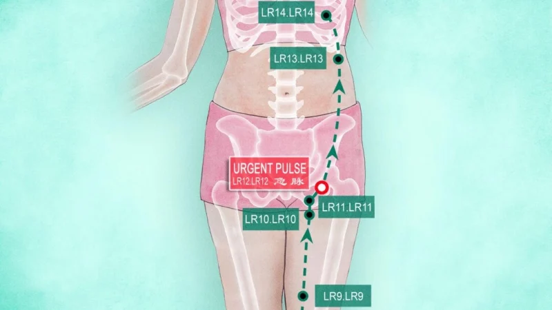 Акупунктура Цзи Май LR12. (The Epoch Times) | Epoch Times Россия