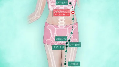 Акупунктура Хуань Тяо помогает тазобедренным суставам оставаться сильными