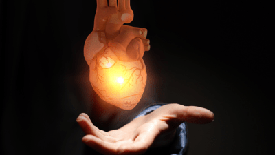 Нейроны в сердце: передаёт ли пересадка сердца человеку также характер донора?