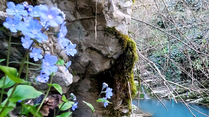 Водопады, изумрудные купели и первоцветы Крабового ущелья в Лазаревском