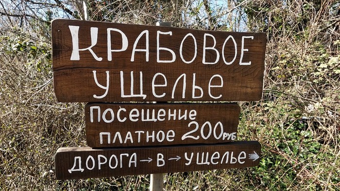 Водопады, изумрудные купели и первоцветы Крабового ущелья в Лазаревском