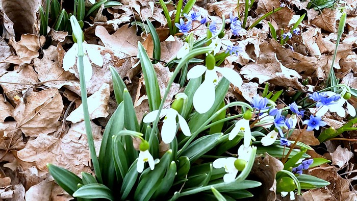 Древние развалины греческой усадьбы — малоизвестный маршрут близ Северной Севастополя