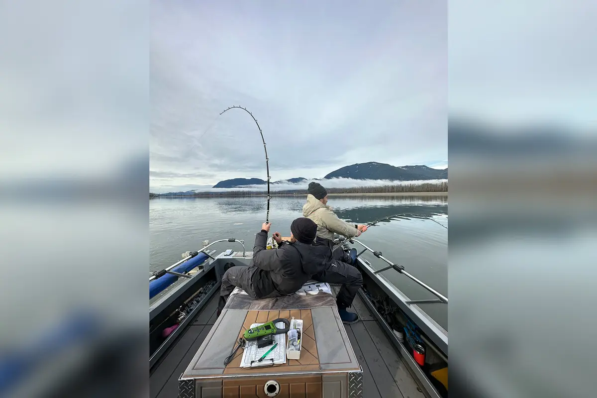 Форрест Галанте и его товарищ по команде поймали двух огромных рыб во время рыболовного тура на реке Фрейзер. (Courtesy of Yves Bisson) Биолог выловил 230-килограммового осетра на реке Фрейзер в Канаде