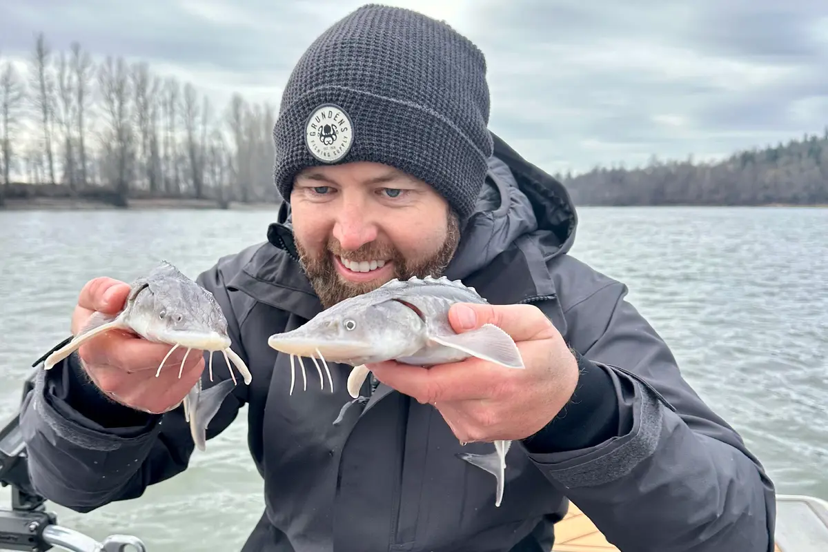 Форрест Галанте держит двух мальков осетра. (Courtesy of Yves Bisson) Биолог выловил 230-килограммового осетра на реке Фрейзер в Канаде