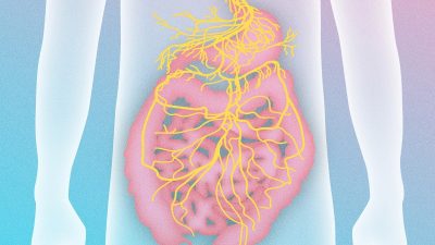Освободитесь от болезней кишечника, активировав блуждающий нерв