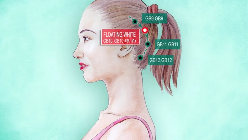 Фу Бай, «Плавающий белый» GB10 (The Epoch Times) | Epoch Times Россия