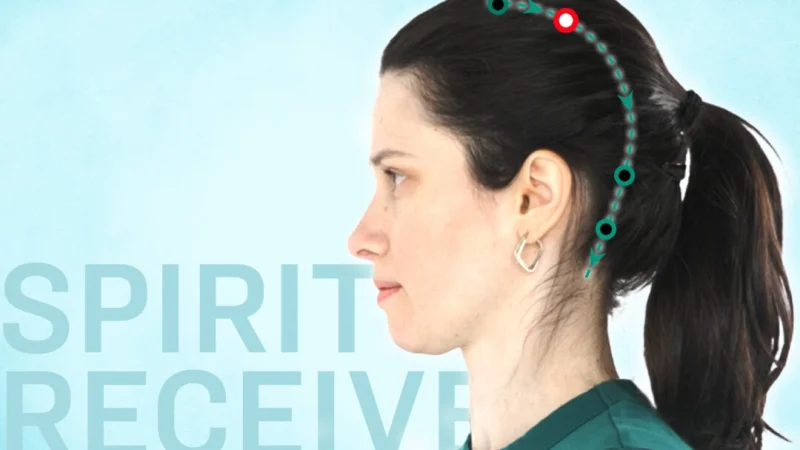 Чэн Лин, Обретение духа GB18 (The Epoch Times) | Epoch Times Россия