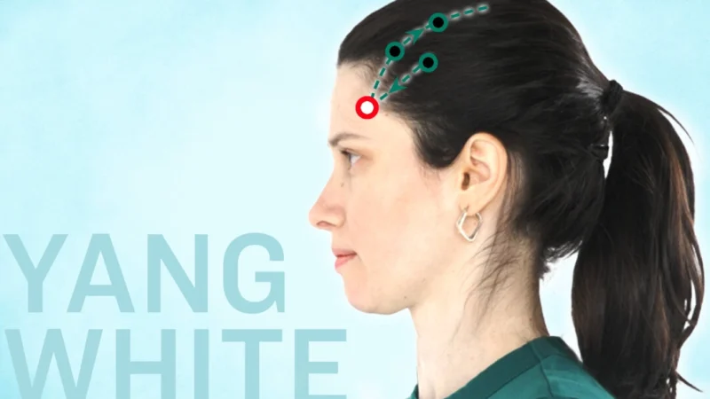 Ян Бай GB14 (The Epoch Times) | Epoch Times Россия