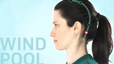 Акупунктурная точка Фэн Чи улучшает работу мозга и предупреждает простуды и грипп