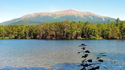 Скитания 12-летнего Донна Фендлера: вдохновляющая история выживания