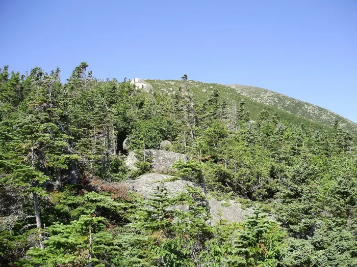 Скитания 12-летнего Донна Фендлера: вдохновляющая история выживания