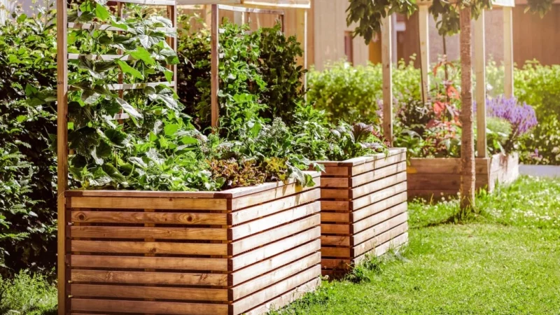 Приподнятые огородные грядки, в идеале — в количестве четырёх штук, позволяют легко чередовать посевы между грядками каждый год. (Mariana Serdynska/Shutterstock) | Epoch Times Россия