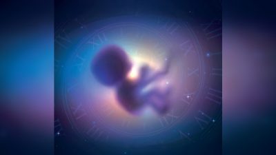 Учёные изучают детей, помнящих свои прошлые жизни