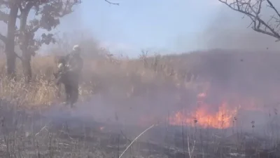 В Приморье огонь уничтожает всё на своём пути