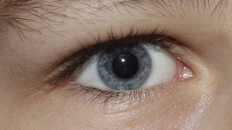 Серо-голубой глаз. (pxhere.com/ССО) | Epoch Times Россия