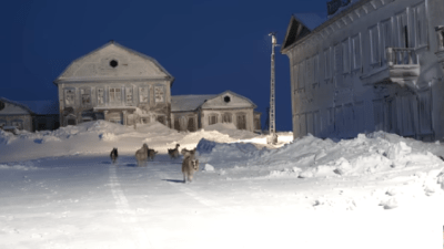 В российской Арктике зима стала короче