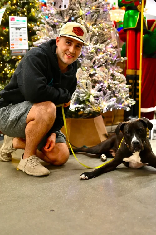 Морпех бегает с собаками из приюта, чтобы помочь найти им новых хозяев