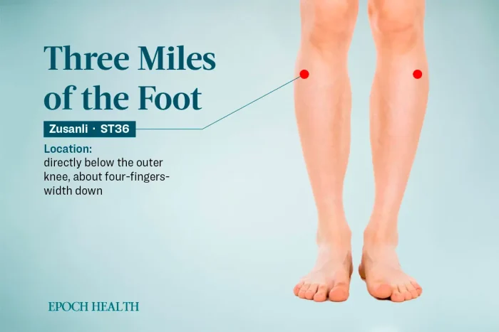 Причины дегенерации коленного сустава и древние средства для облегчения состояния: советы и рецепты