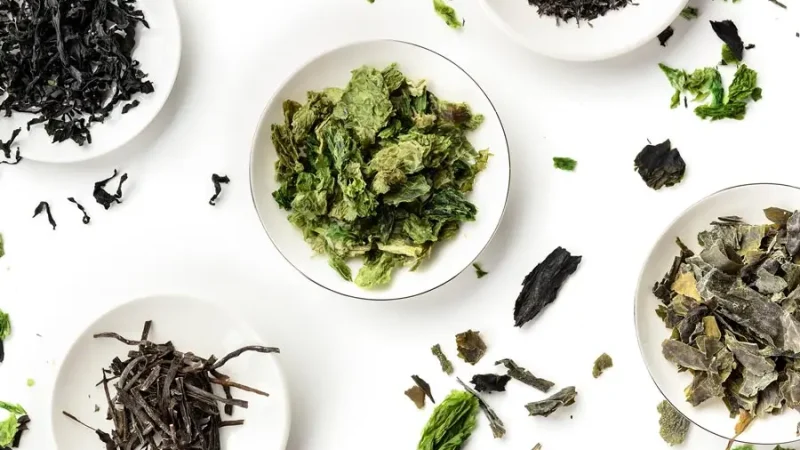 Морские водоросли как природный источник йода для здоровья пищеварительной системы и сердца