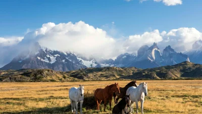 Биосферный заповедник Торрес дель Пайне: один день в патагонском раю